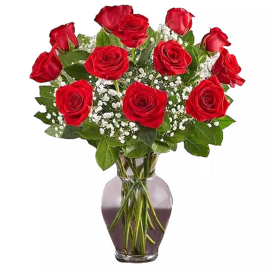 Premium Long Stem - Dozen Red Roses