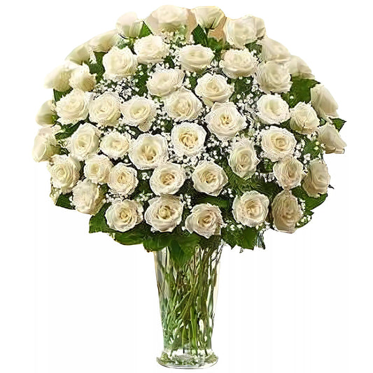 Premium Long Stem - 48 White Roses