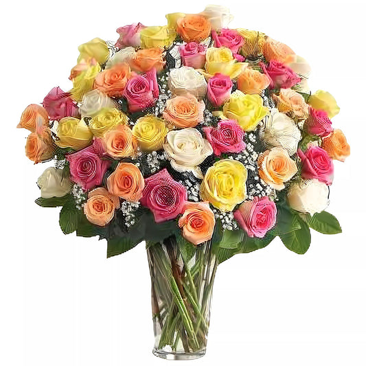 Premium Long Stem - 48 Assorted Roses