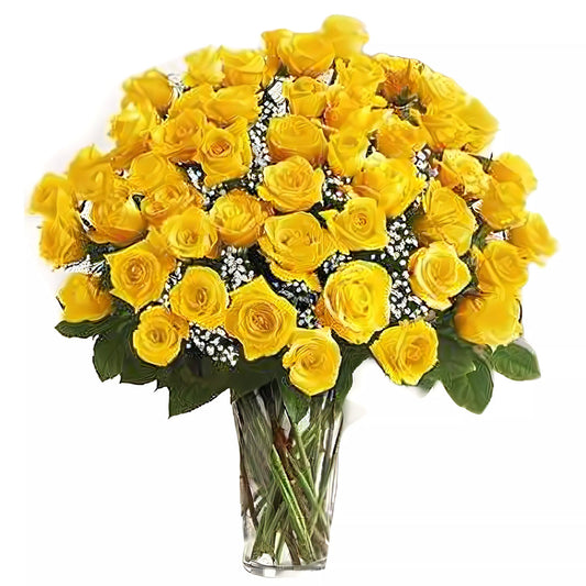 Premium Long Stem - 48 Yellow Roses