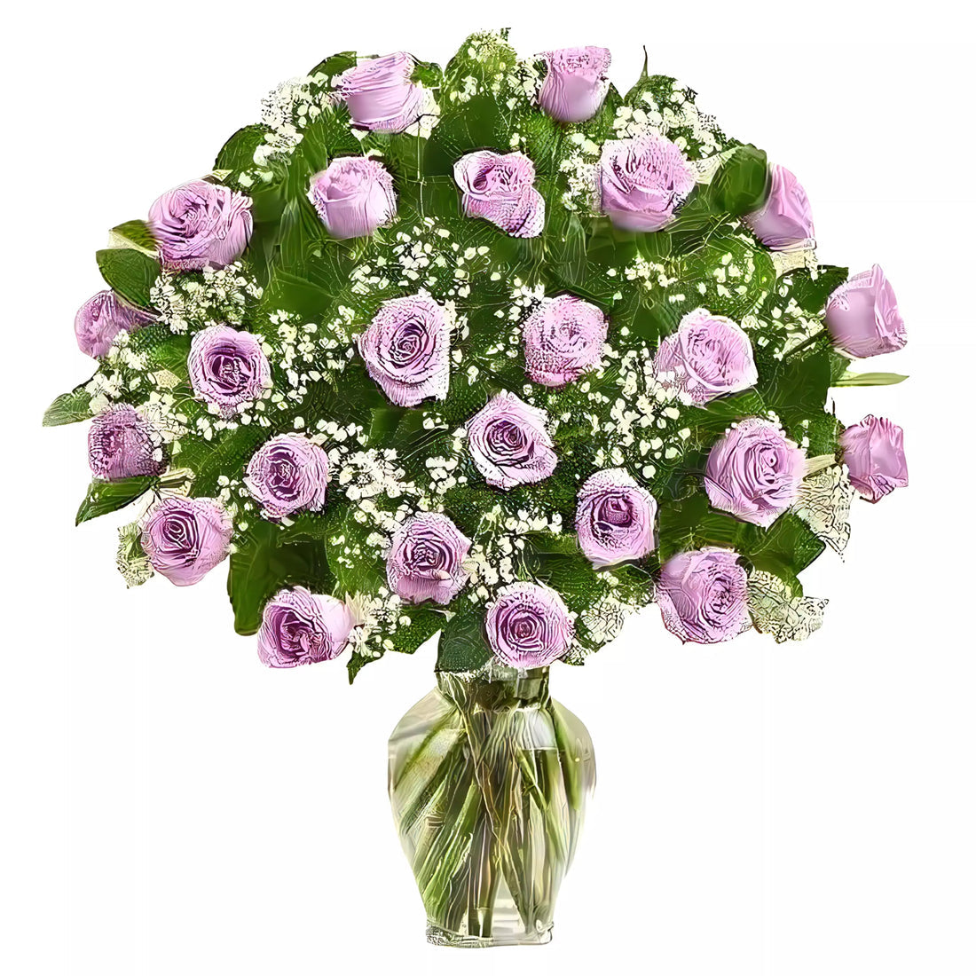 Premium Long Stem - 24 Purple Roses