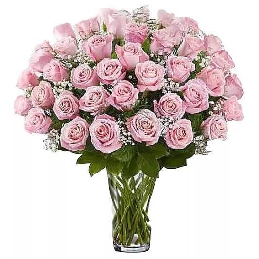 Premium Long Stem - 48 Pink Roses