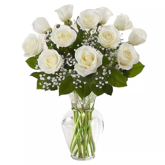 Premium Long Stem - Dozen White Roses