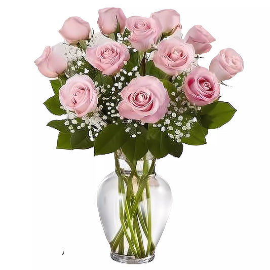 Premium Long Stem - Dozen Pink Roses