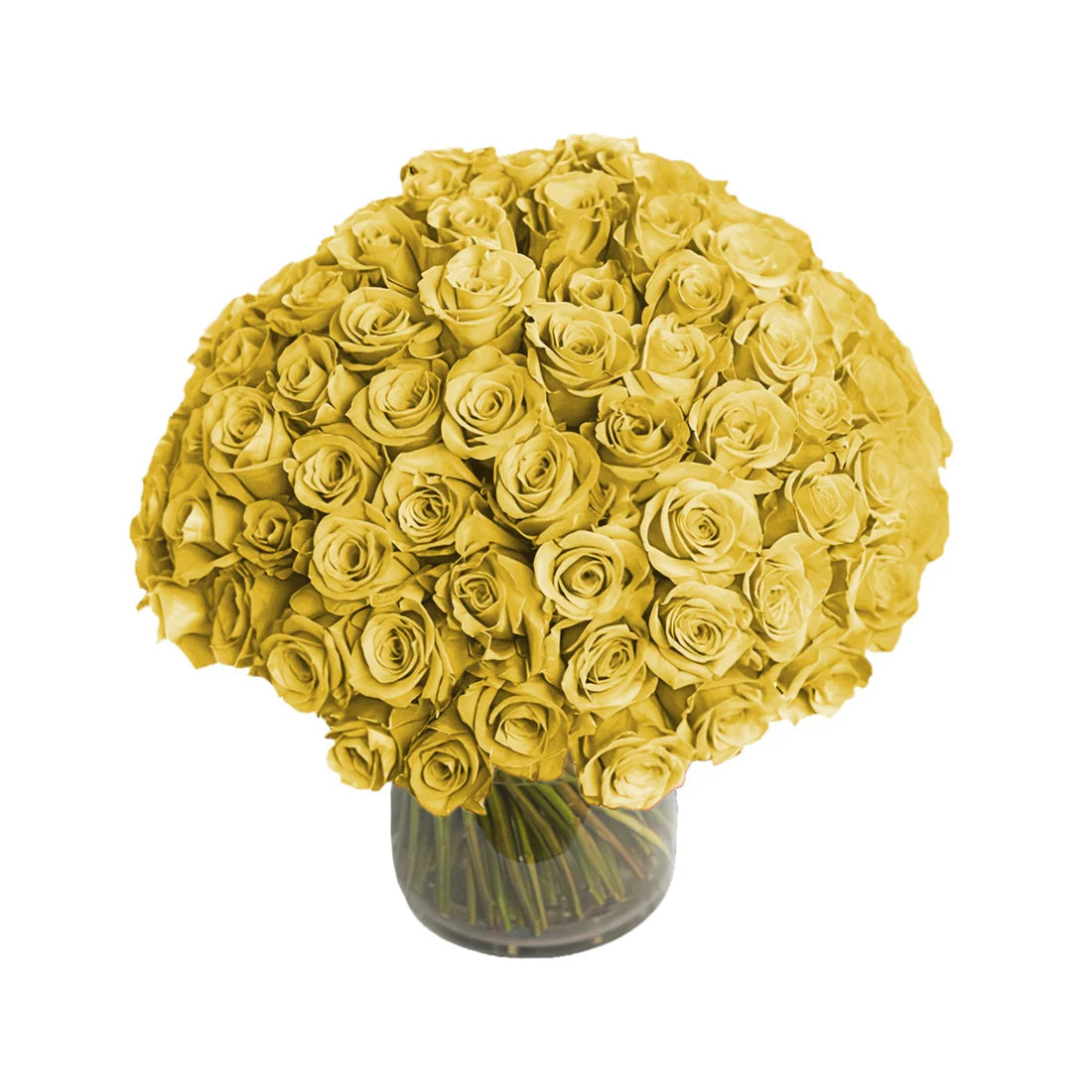 Fresh Roses in a Vase | 100 Yellow Roses