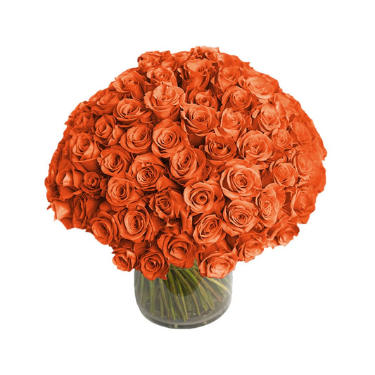 Fresh Roses in a Vase | 100 Orange Roses