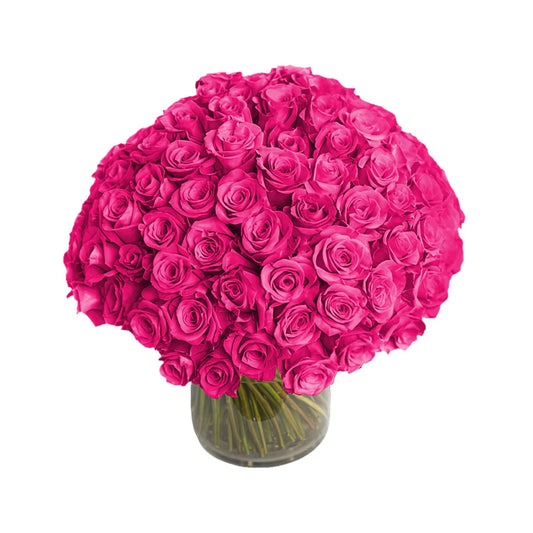 Fresh Roses in a Vase | 100 Hot Pink Roses