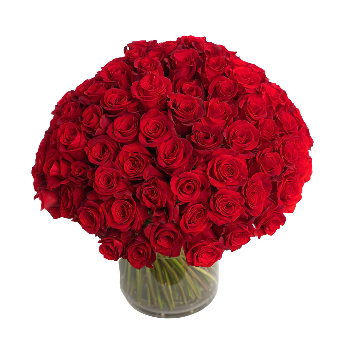 Fresh Roses in a Vase | 100 Red Roses